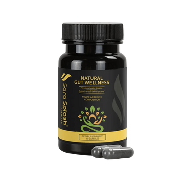 Natural Gut Wellness Capsules