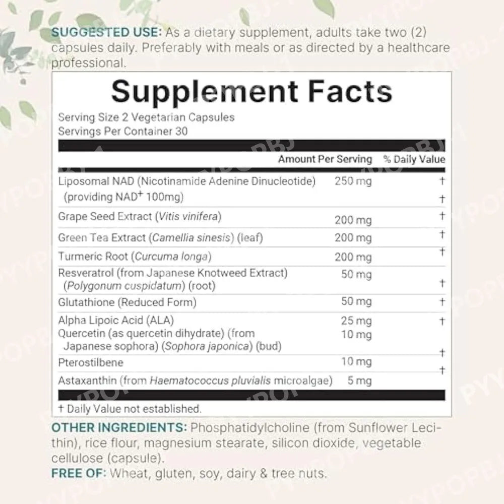 Micro Ingredients Liposomal NAD+ Ultimate Complex 1,000mg | 60 Veggie Capsules | NMN Pathway Formula | 10-in-1 with Glutathione